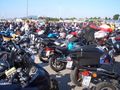 Toy Run 2009 61635594