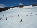 Saalbach Hinterglemm 24.2-25.2.2012 76056600