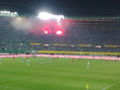 rapid wien 66969861