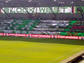 rapid wien 66969947