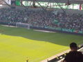 rapid wien 66969958