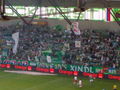 rapid wien 66969963