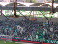 rapid wien 66969965