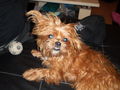 Meine süsse Puppi !!!! 63476138