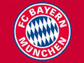 BAYERN 63057488