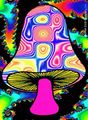 psychedelic 68333158