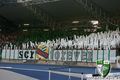      Rapid Ultras 46563019