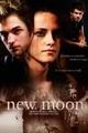 TWILIGHT and NEW MOON 70803238