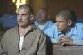 Prison Break 52599005