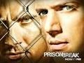 Prison Break 52599015