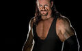 WWE Is voi gel 48249445