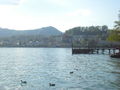 Am Traunsee 2009 58749951