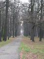 Auschnitz - Birkenau 48903702