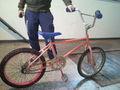 Projekt: Jump the Teich 56831551