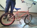 Projekt: Jump the Teich 56831823