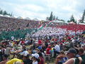 Motogp2008_Brno 50825882