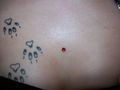 tattoo piercing 53519255