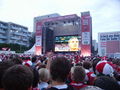 Fanmeile Linz 16.062008 39752219