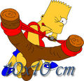 HOMER 49933679