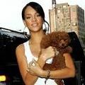 -------> Rihanna 48010942