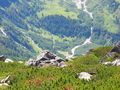 Großglockner und Dolomitenstrasse 64791268