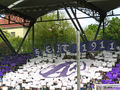 Austria Wien 53417798