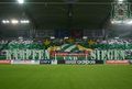 Rapid Wien (SCR) 67429401