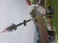 Maibaum aufstellen RK 61372796