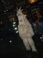 Krampus und Perchtenlauf Windischgarsten 50096630