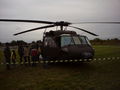 Bundesheer nur geil 48389974