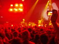 Green Day konzert 68858943