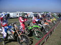 MX 2009 72802384