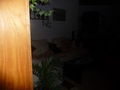 Unsere Wohnung... 64367697