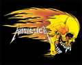 Metallica 68605348