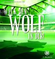 VFL Wolfsburg 70678001