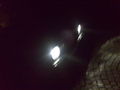 Volkswagen Golf II 56557275