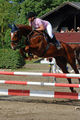 Zwerg & Me in Action 48106705