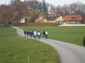 Litzelberg 03.11-05.11.08 48183671