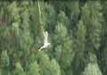 Bungy Jumping - Europabrücke 75812584