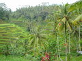 Bali and around 18889716