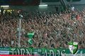 Sk rapid 4 ever 48531046