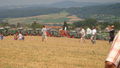 Fendt Feldtag 2009 in Melk 65137307