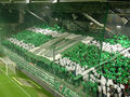 SK Rapid Wien mein Verein 63680551