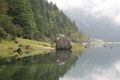 Wandern in Gosau (Vorderer Gosausee) 65512664