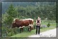 Wandern in Gosau (Vorderer Gosausee) 65512853