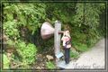 Wandern in Gosau (Vorderer Gosausee) 65513263