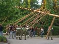 Maibaum umlegn und auslösen  59684845