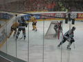 Black Wings Vs. Vienna Capitals 7.12.08 49875168