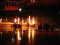 Black Wings Vs. Vienna Capitals 7.12.08 49875217