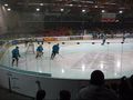 Black Wings Vs. Vienna Capitals 7.12.08 49875222